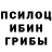 Псилоцибиновые грибы Magic Shrooms Michael Ostergaard