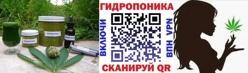 Cannafood конопля  наркошоп  Болхов 
