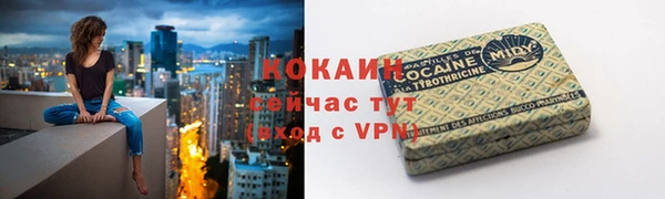молекула духа Алзамай