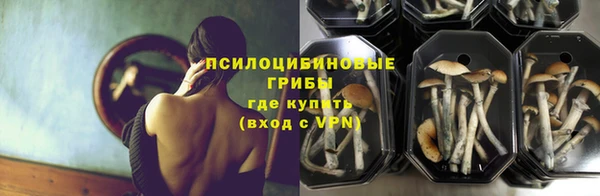 шишки Абинск
