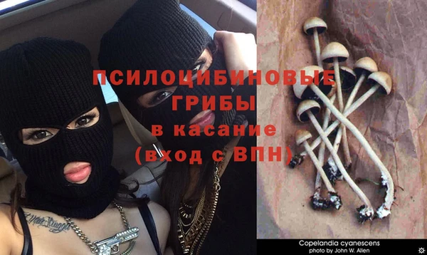 каннабис Алексеевка