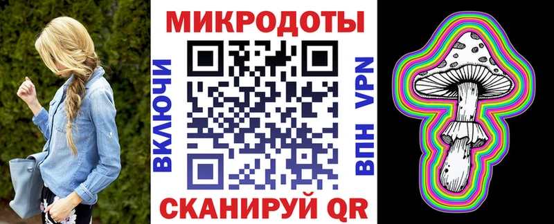 kraken онион  Болхов  Псилоцибиновые грибы Psilocybe 