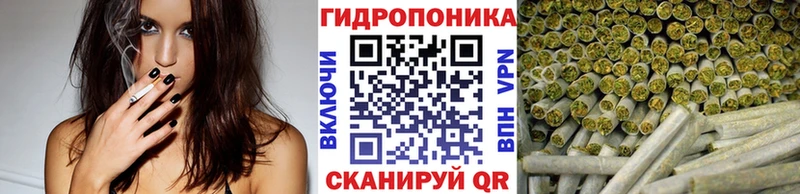 Канабис SATIVA & INDICA  площадка формула  Болхов 